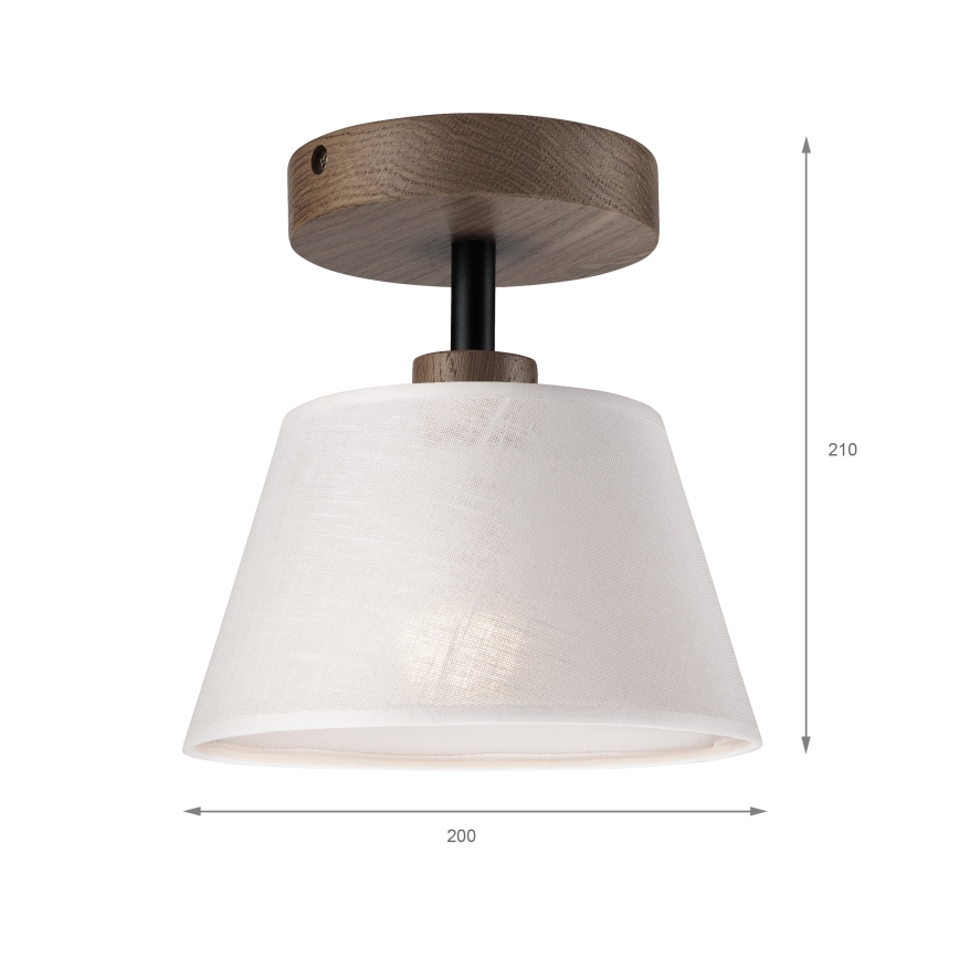 Brilagi - Loftlampe ANTHONY 1xE14/60W/230V eg/hvid