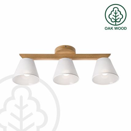 Brilagi - Loftlampe ANTHONY 3xE14/40W/230V eg/hvid