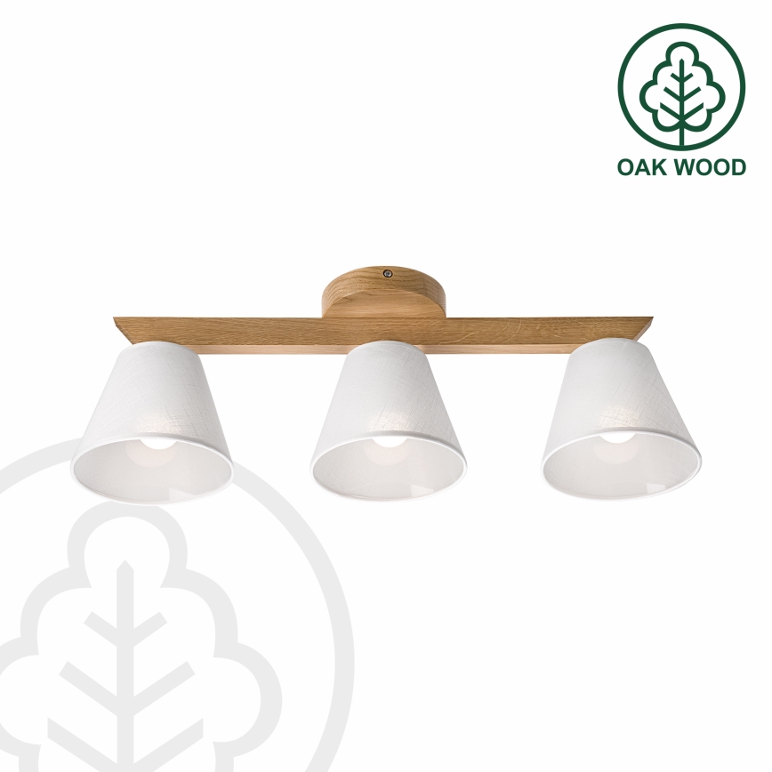 Brilagi - Loftlampe ANTHONY 3xE14/40W/230V eg/hvid