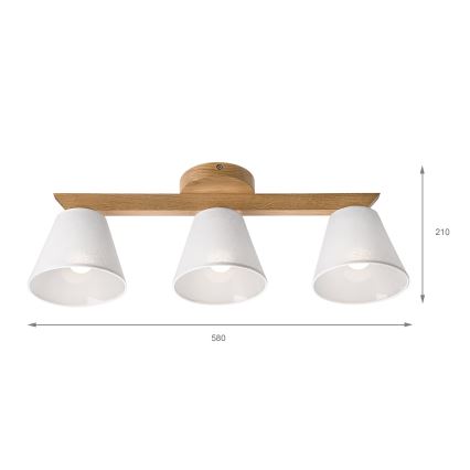 Brilagi - Loftlampe ANTHONY 3xE14/40W/230V eg/hvid