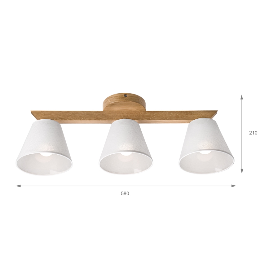 Brilagi - Loftlampe ANTHONY 3xE14/40W/230V eg/hvid
