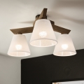 Brilagi - Loftlampe ANTHONY 3xE14/40W/230V eg/hvid