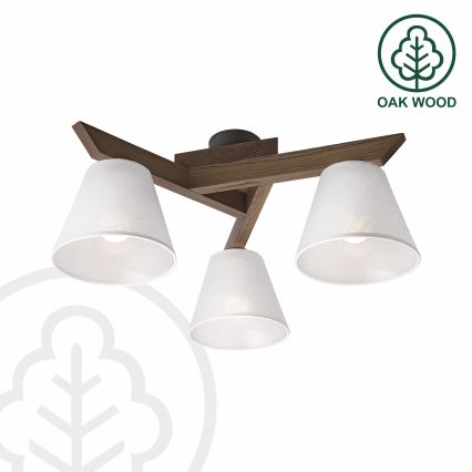 Brilagi - Loftlampe ANTHONY 3xE14/40W/230V eg/hvid