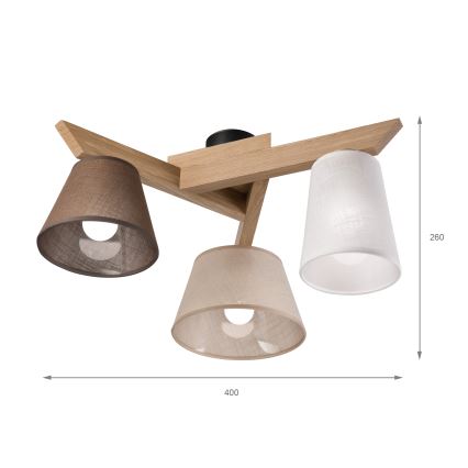 Brilagi - Loftlampe ANTHONY 3xE14/40W/230V eg