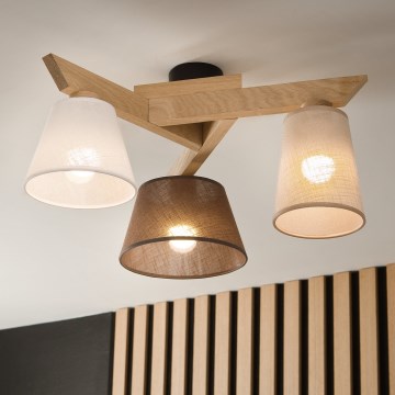 Brilagi - Loftlampe ANTHONY 3xE14/40W/230V eg