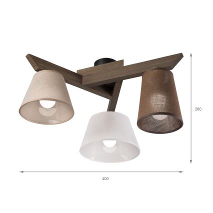 Brilagi - Loftlampe ANTHONY 3xE14/40W/230V eg