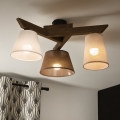 Brilagi - Loftlampe ANTHONY 3xE14/40W/230V eg