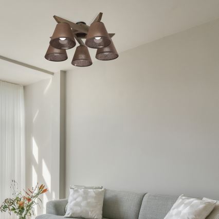 Brilagi - Loftlampe ANTHONY 5xE14/40W/230V eg/brun