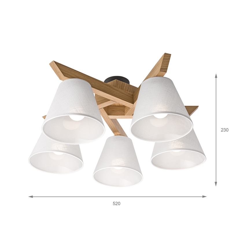 Brilagi - Loftlampe ANTHONY 5xE14/40W/230V eg/hvid
