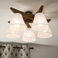 Brilagi - Loftlampe ANTHONY 5xE14/40W/230V eg/hvid