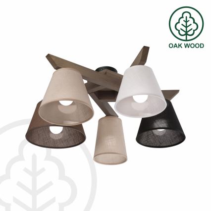 Brilagi - Loftlampe ANTHONY 5xE14/40W/230V eg