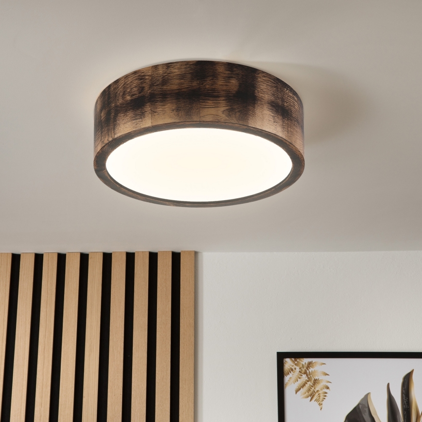 Brilagi - Loftlampe CARVALHO SMOKEY 1xE27/60W/230V, egetræ Ø 27,5 cm