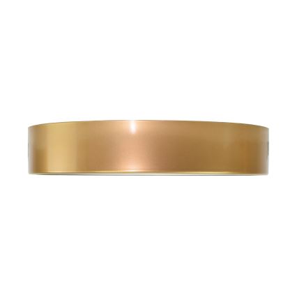 Brilagi - Loftlampe CLARE 3xE27/40W/230V diameter 40 cm guldfarvet