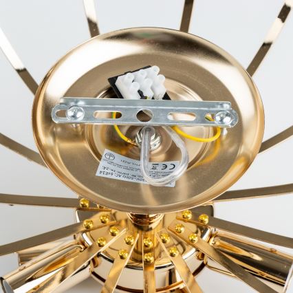 Brilagi - Loftlampe CRYSTAL 6xE14/60W/230V guldfarvet