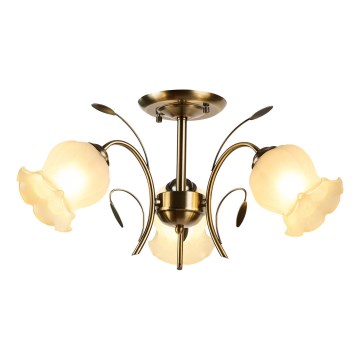 Brilagi - Loftlampe FLORA 3xE14/60W/230V bronze