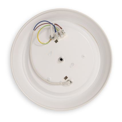 BRILAGI - Loftlampe FRESCO 2xE27/40W/230V Ø 28 cm guld