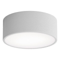 Brilagi - Loftlampe med sensor CLARE 1xE27/24W/230V diameter 20 cm grå