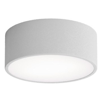 Brilagi - Loftlampe med sensor CLARE 1xE27/24W/230V diameter 20 cm grå