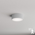 Brilagi - Loftlampe med sensor CLARE 1xE27/40W/230V diameter 20 cm grå