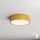 Brilagi - Loftlampe med sensor CLARE 2xE27/40W/230V diameter 30 cm guldfarvet
