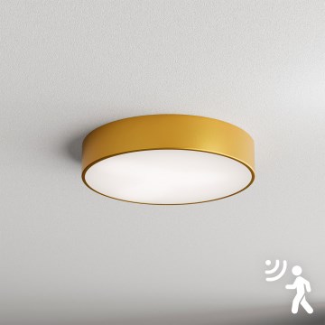 Brilagi - Loftlampe med sensor CLARE 3xE27/40W/230V diameter 40 cm guldfarvet