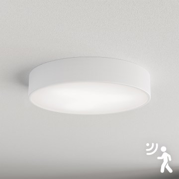 Brilagi - Loftlampe med sensor CLARE 3xE27/40W/230V diameter 40 cm hvid