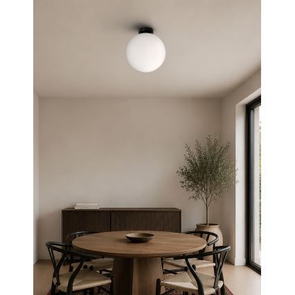 BRILAGI - Loftlampe POLOS 1xE27/40W/230V Ø 30 cm sort