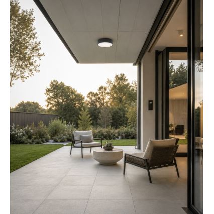 Brilagi - Badeværelsesloftlampe CLARE 1xE27/24W/230V Ø 20 cm antracit IP54