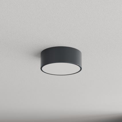 Brilagi - Badeværelsesloftlampe CLARE 1xE27/24W/230V Ø 20 cm antracit IP54