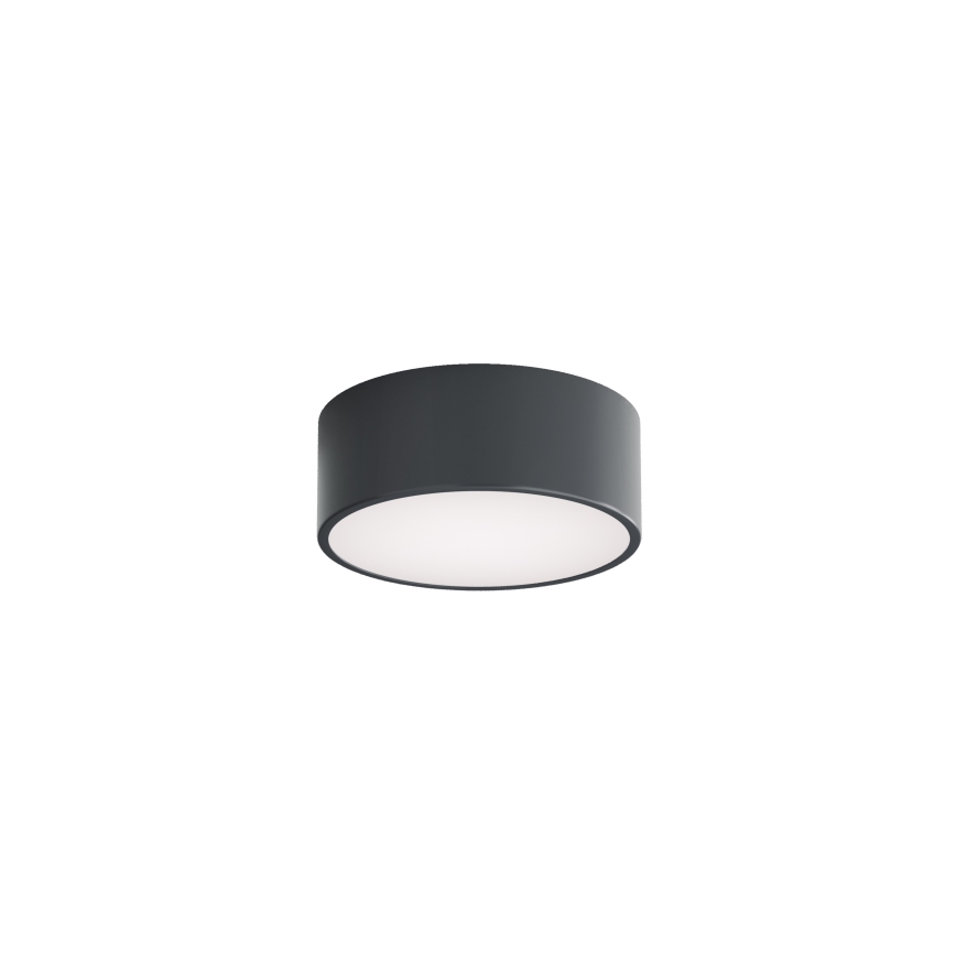 Brilagi - Badeværelsesloftlampe CLARE 1xE27/24W/230V Ø 20 cm antracit IP54