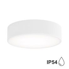 Brilagi - Loftlampe til badeværelse CLARE 2xE27/24W/230V diameter 30 cm hvid IP54