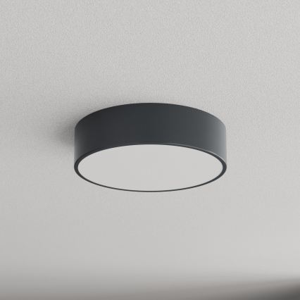 Brilagi - Badeværelsesloftlampe CLARE 2xE27/24W/230V Ø 30 cm antracit IP54