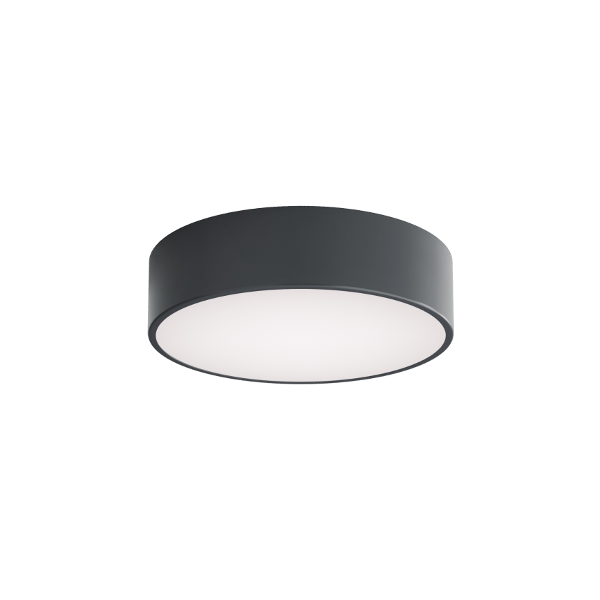 Brilagi - Badeværelsesloftlampe CLARE 2xE27/24W/230V Ø 30 cm antracit IP54