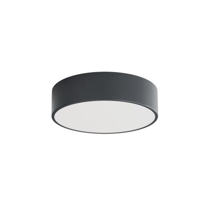 Brilagi - Badeværelsesloftlampe CLARE 2xE27/24W/230V Ø 30 cm antracit IP54
