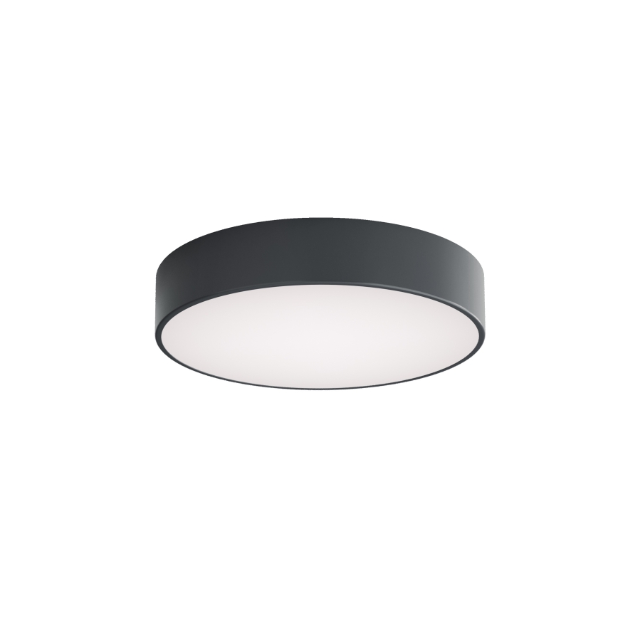 Brilagi - Badeværelsesloftlampe CLARE 3xE27/24W/230V Ø 40 cm antracit IP54