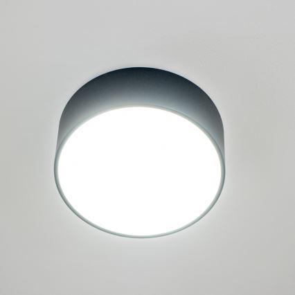 Brilagi - Loftlampe til badeværelse POOL 2x E27/15W/230V Ø 30 cm IP54 sort