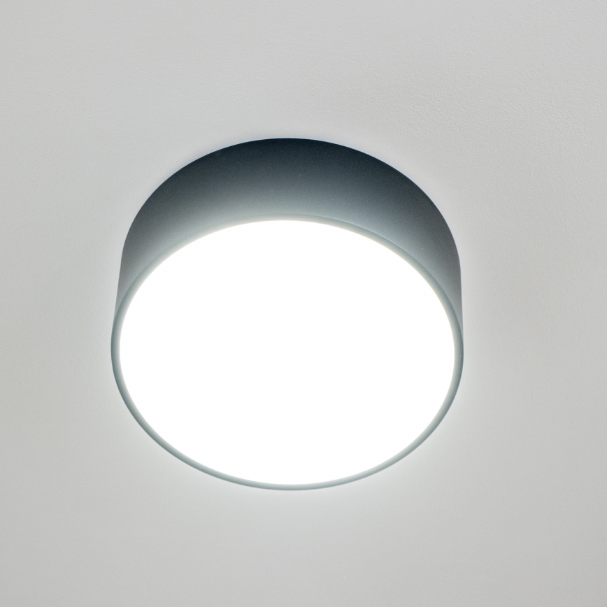 Brilagi - Loftlampe til badeværelse POOL 2x E27/15W/230V Ø 30 cm IP54 sort