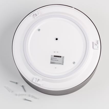 Brilagi - Loftlampe til badeværelse POOL 2x E27/15W/230V Ø 30 cm IP54 sort