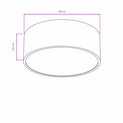 Brilagi - Loftlampe til badeværelse POOL 2x E27/15W/230V Ø 30 cm IP54 sort