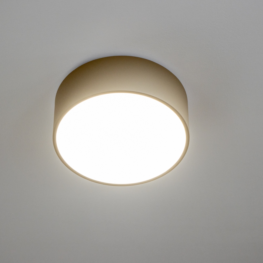 Brilagi - Loftlampe til badeværelse POOL 2xE27/15W/230V Ø 30 cm IP54 beige