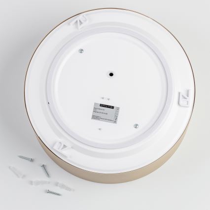 Brilagi - Loftlampe til badeværelse POOL 2xE27/15W/230V Ø 30 cm IP54 beige