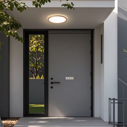 Brilagi - LED-loftlampe til badeværelse ultratynd LED/12W/230V Ø22,5 cm rosaguld IP54