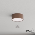 Brilagi - Loftlampe til badeværelset med bevægelses- og skumringssensor CLARE 1xE27/24W/230V Ø 20 cm brun IP54