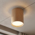 BRILAGI - Loftspot SMOOTH LONG 1xGX53/15W/230V 100x82 mm med egetræsmønster