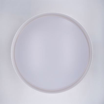 Brilagi - LED-dæmpbar loftlampe LUCIA LED/60W/230V 3000-6500K Ø 59 cm hvid + fjernbetjening