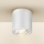 Brilagi - MIA spotlampe 1xGU10/30W/230V 84x80 mm, sølv, IP54