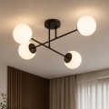 Brilagi - Overflademonteret loftlampe MILO 4xE27/60W/230V, sort