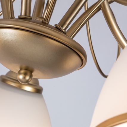 Brilagi - Overflademonteret lysekrone FRED 5xE27/60W/230V Ø 59 cm guld