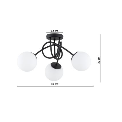 Brilagi - Påbygningsloftlampe MILO 3xE27/60W/230V sort