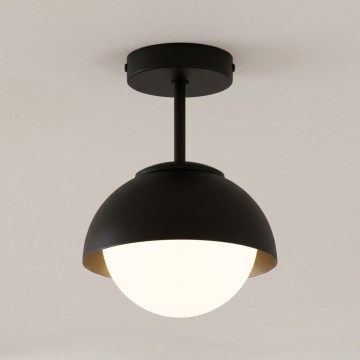 BRILAGI - Påmonteret loftlampe COSMO 1xE27/60W/230V sort